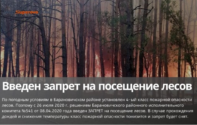 Введен запрет на посещение лесов в Барановичском районе