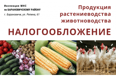 Реализация продукции растениеводства и животноводства физическими лицами