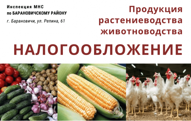 Реализация продукции растениеводства и животноводства физическими лицами