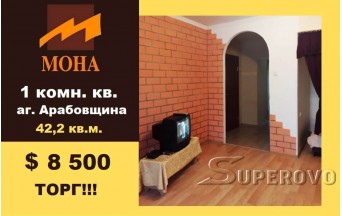 Продам 1-комнатную квартиру в Барановичском районе агрогородок Арабовщина